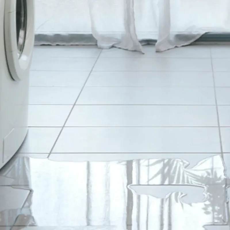 Appliance Leak Cleanup in Livingston County, NY