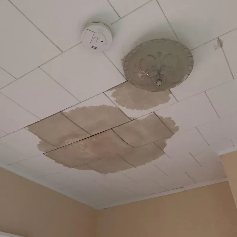 Ceiling Water Damage Repair in Livingston County, NY