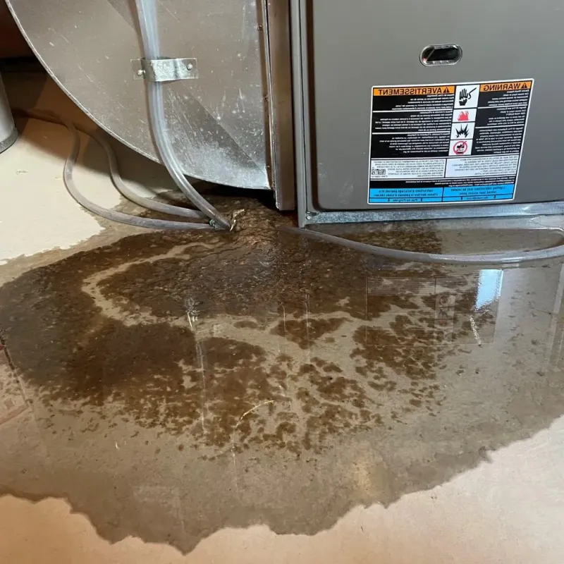 Pipe Burst and Leak Restoration in Livingston County, NY