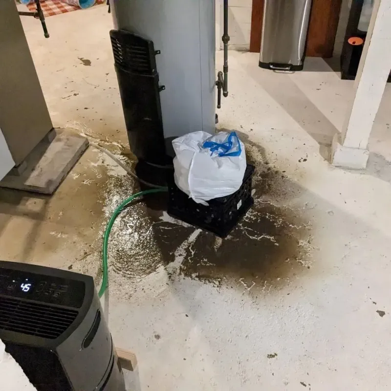 Sewage Backup Cleanup Service in Livingston County, NY